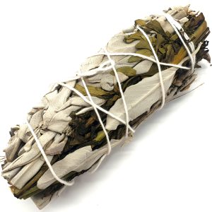 Sauge Blanche Arruda Fagot de 25g(10cm)