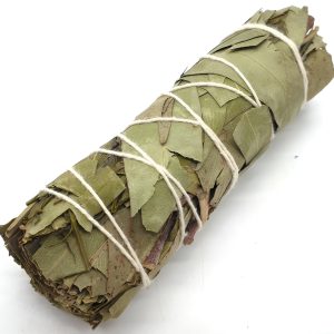 Fagot d Eucalyptus de 30g (10cm)