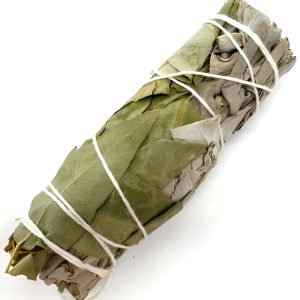 Sauge Blache et Eucalyptus de 20g