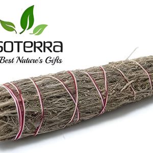 Fagot de Sauge du désert