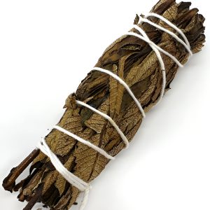 Fagot de Sauge Noire Armoise de 30g