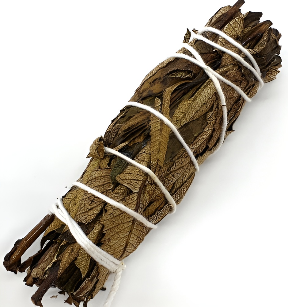 Fagot de Sauge Noire Armoise de 30g